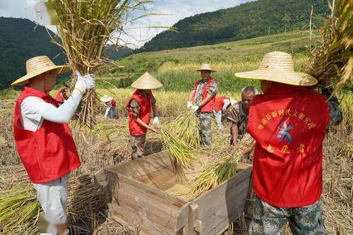 黄子稻的家庭背景